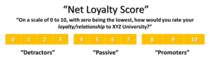 Net Loyalty Score