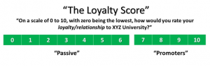 The Loyalty Graphic